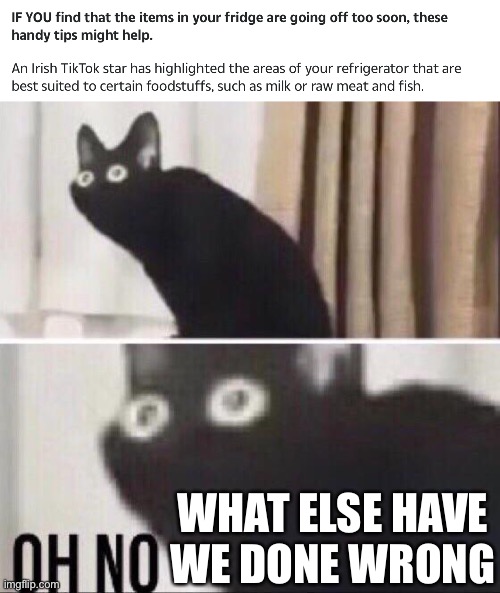 Breathing? | WHAT ELSE HAVE WE DONE WRONG | image tagged in oh no cat,tiktok,dumb,wot | made w/ Imgflip meme maker
