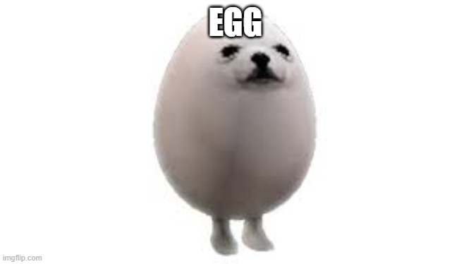 Egg Dog | EGG | image tagged in egg dog | made w/ Imgflip meme maker