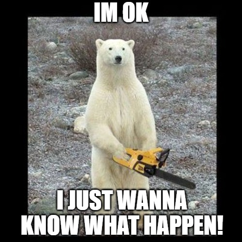 THE KILLER |  IM OK; I JUST WANNA KNOW WHAT HAPPEN! | image tagged in memes,chainsaw bear | made w/ Imgflip meme maker