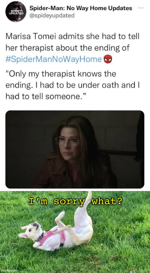 Should I be scared? Cuz the fact she had to tell her therapist worries me. | I’m sorry what? | image tagged in doggo falling back,marvel,spiderman,no way home,dog | made w/ Imgflip meme maker