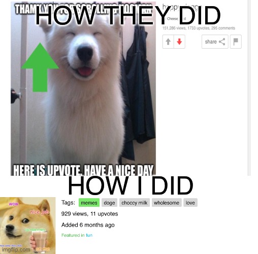 HOW THEY DID; HOW I DID | image tagged in blank white template,memes,sad,dogs,low effort,stop reading the tags | made w/ Imgflip meme maker