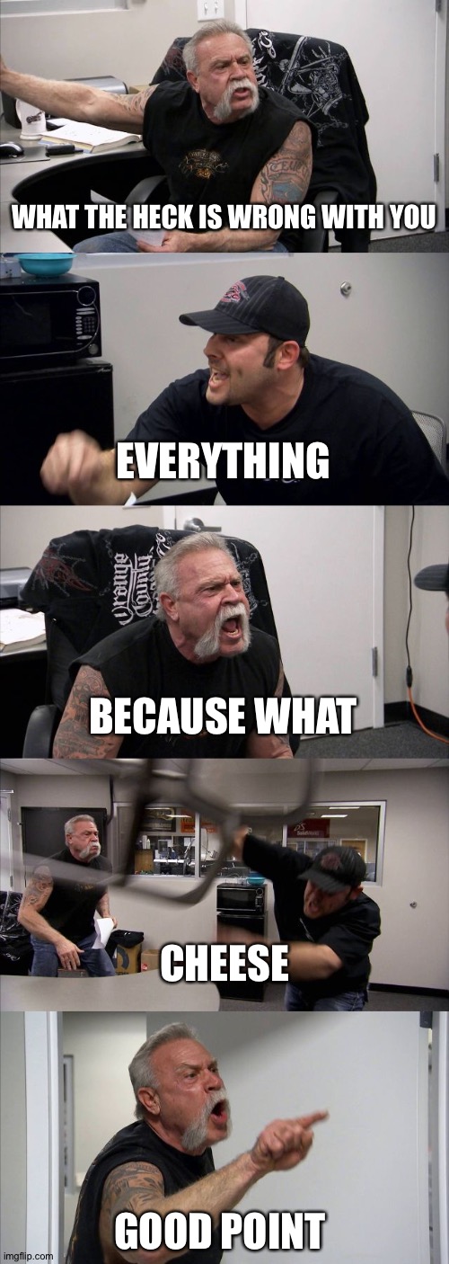 random | WHAT THE HECK IS WRONG WITH YOU; EVERYTHING; BECAUSE WHAT; CHEESE; GOOD POINT | image tagged in memes,american chopper argument | made w/ Imgflip meme maker
