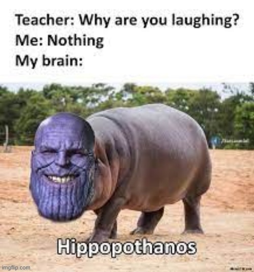 hippopothanos | image tagged in thanos,funny,funny memes,dank memes,dank,sus | made w/ Imgflip meme maker