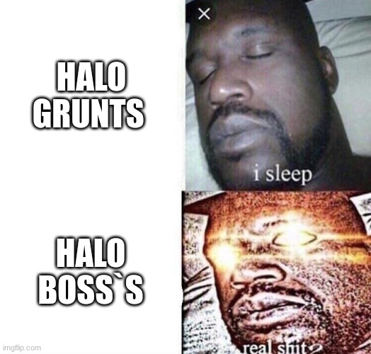 halo in a nutshell | HALO GRUNTS; HALO BOSS`S | image tagged in i sleep real shit | made w/ Imgflip meme maker