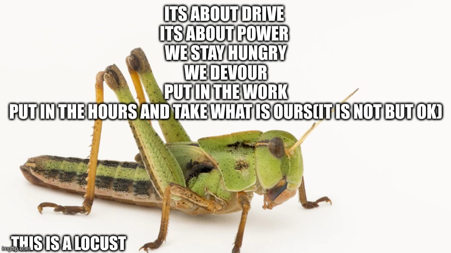 ITS ABOUT DRIVE 
ITS ABOUT POWER 
WE STAY HUNGRY
WE DEVOUR
PUT IN THE WORK
PUT IN THE HOURS AND TAKE WHAT IS OURS(IT IS NOT BUT OK); THIS IS A LOCUST | image tagged in fun | made w/ Imgflip meme maker