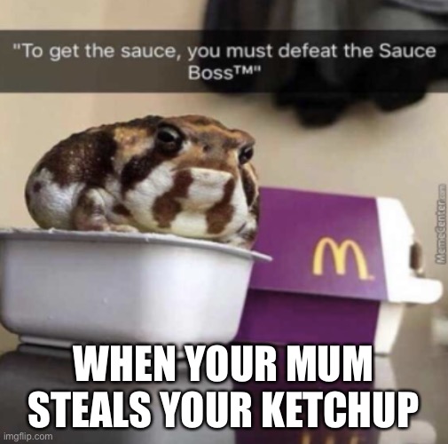 Frog | WHEN YOUR MUM STEALS YOUR KETCHUP | image tagged in frog | made w/ Imgflip meme maker