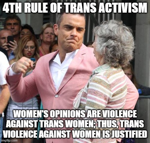 man punching grandmother in face | 4TH RULE OF TRANS ACTIVISM; WOMEN'S OPINIONS ARE VIOLENCE AGAINST TRANS WOMEN; THUS, TRANS VIOLENCE AGAINST WOMEN IS JUSTIFIED | image tagged in man punching grandmother in face | made w/ Imgflip meme maker
