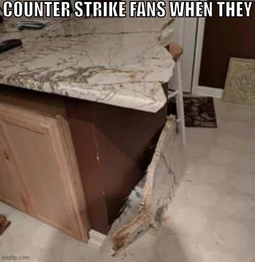 COUNTER STRIKE | COUNTER STRIKE FANS WHEN THEY | made w/ Imgflip meme maker