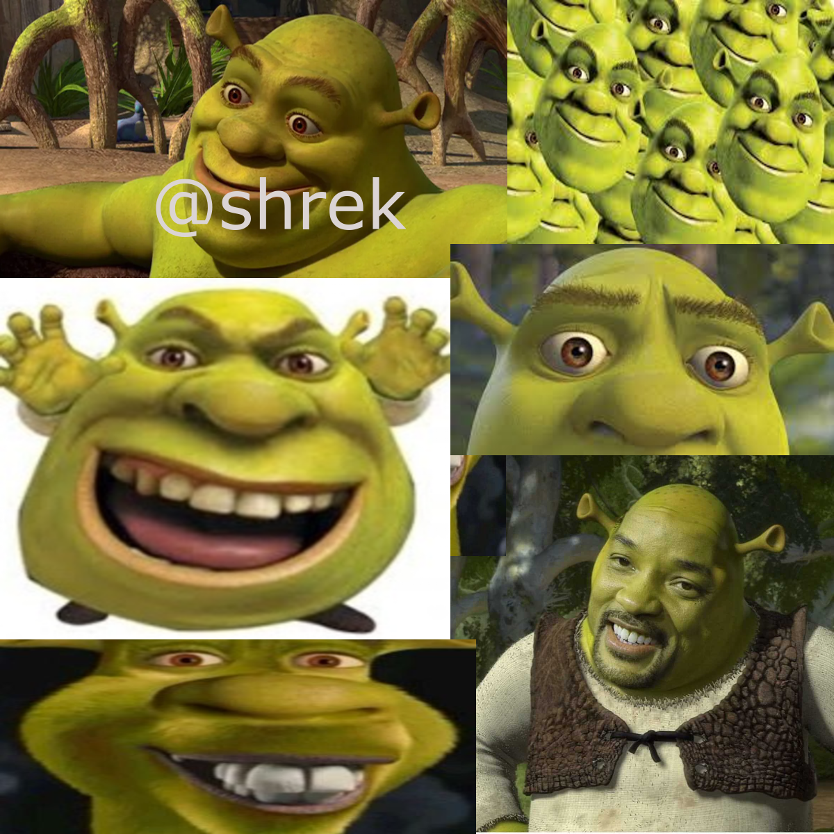 Shrek face Blank Template - Imgflip