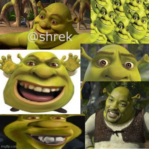 new temp | image tagged in shrek announcement temp | made w/ Imgflip meme maker