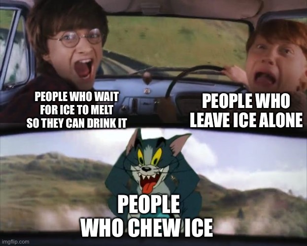 If you do this, what do you want from me? | PEOPLE WHO LEAVE ICE ALONE; PEOPLE WHO WAIT FOR ICE TO MELT SO THEY CAN DRINK IT; PEOPLE WHO CHEW ICE | image tagged in tom chasing harry and ron weasly | made w/ Imgflip meme maker