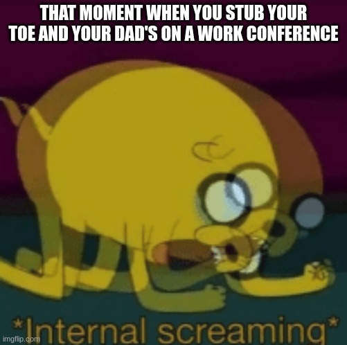 *ouch noises* | THAT MOMENT WHEN YOU STUB YOUR TOE AND YOUR DAD'S ON A WORK CONFERENCE | image tagged in jake the dog internal screaming | made w/ Imgflip meme maker