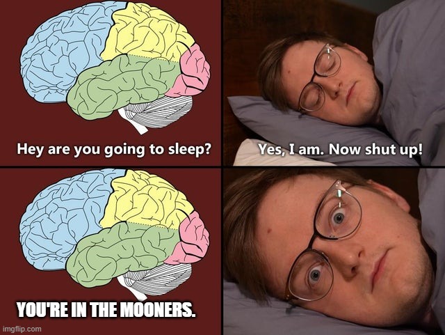 Grian sleeping | YOU'RE IN THE MOONERS. | image tagged in grian sleeping | made w/ Imgflip meme maker