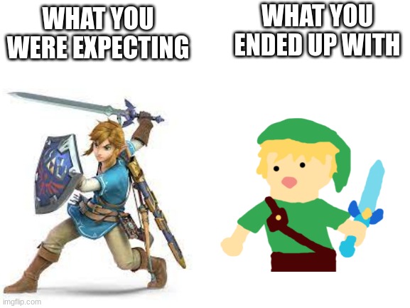 lonk | WHAT YOU ENDED UP WITH; WHAT YOU WERE EXPECTING | image tagged in link | made w/ Imgflip meme maker