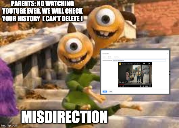Actually works tho | PARENTS: NO WATCHING YOUTUBE EVER, WE WILL CHECK YOUR HISTORY  ( CAN'T DELETE ); MISDIRECTION | image tagged in fun stream,hacks,monsters inc,deception | made w/ Imgflip meme maker