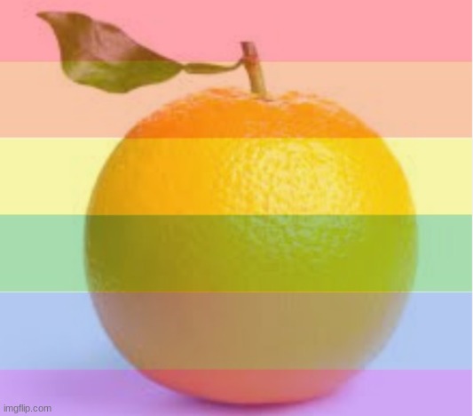 ORANGAY | image tagged in orangay | made w/ Imgflip meme maker