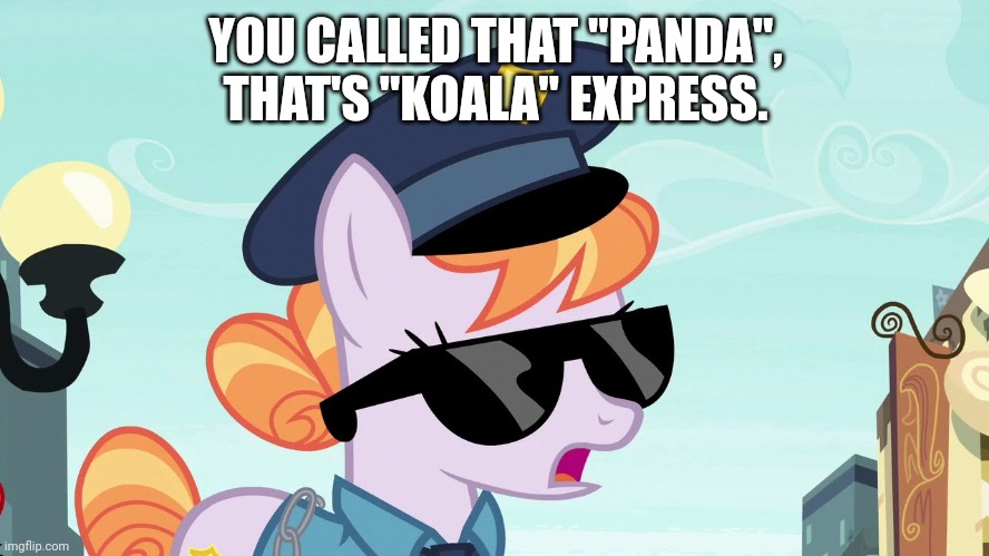 YOU CALLED THAT "PANDA", THAT'S "KOALA" EXPRESS. | made w/ Imgflip meme maker