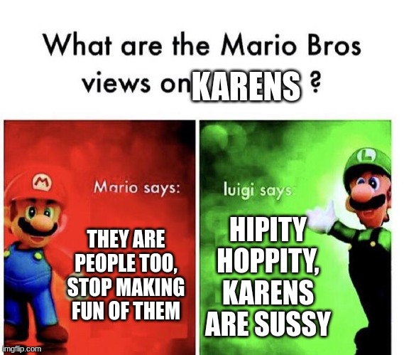 This is true | KARENS; THEY ARE PEOPLE TOO, STOP MAKING FUN OF THEM; HIPITY HOPPITY, KARENS ARE SUSSY | image tagged in mario bros views,memes | made w/ Imgflip meme maker