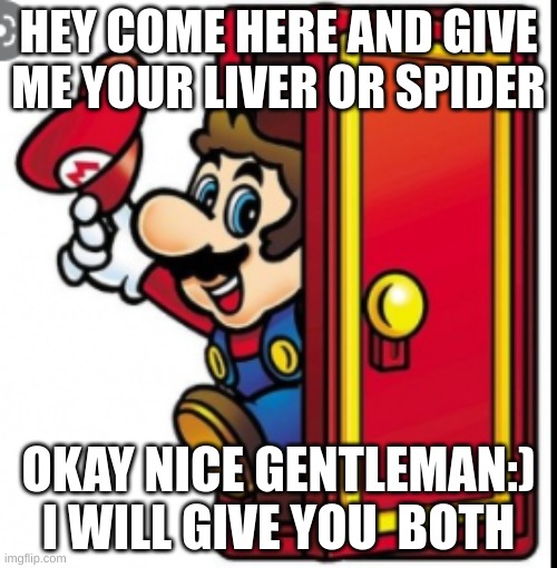 hey call me here and give me your liver or spider | HEY COME HERE AND GIVE ME YOUR LIVER OR SPIDER; OKAY NICE GENTLEMAN:) I WILL GIVE YOU  BOTH | image tagged in mario,funny | made w/ Imgflip meme maker