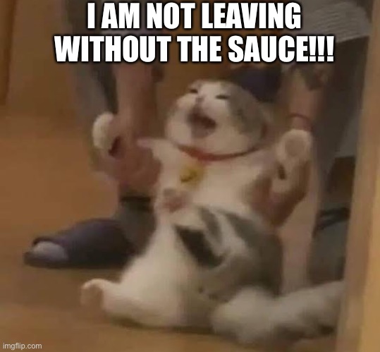 I am not leaving without the sauce | I AM NOT LEAVING WITHOUT THE SAUCE!!! | image tagged in not leaving without the sauce,sauce | made w/ Imgflip meme maker