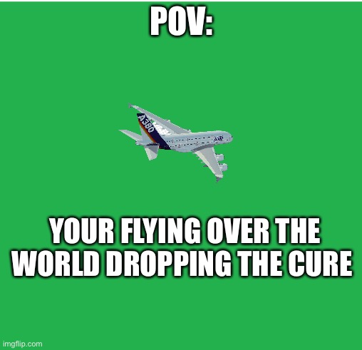 Green Screen | POV:; YOUR FLYING OVER THE WORLD DROPPING THE CURE | image tagged in green screen | made w/ Imgflip meme maker