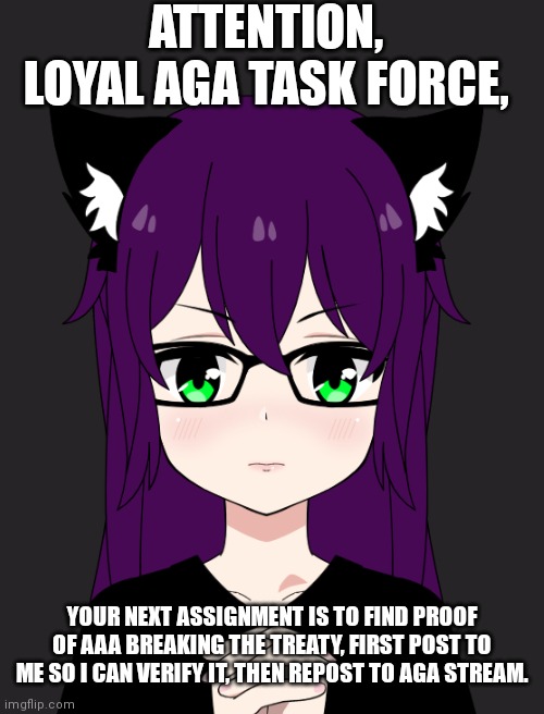 This threat must be stopped. Over. | ATTENTION, LOYAL AGA TASK FORCE, YOUR NEXT ASSIGNMENT IS TO FIND PROOF OF AAA BREAKING THE TREATY, FIRST POST TO ME SO I CAN VERIFY IT, THEN REPOST TO AGA STREAM. | image tagged in blank white template | made w/ Imgflip meme maker