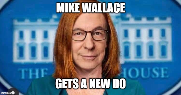 New Doo | MIKE WALLACE; GETS A NEW DO | image tagged in new doo | made w/ Imgflip meme maker