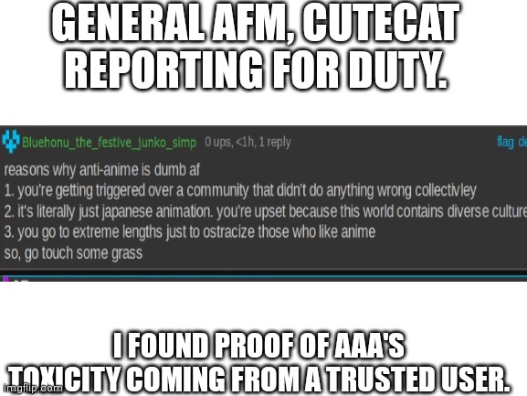 Report 1.0 (mod note: very useful.) | GENERAL AFM, CUTECAT REPORTING FOR DUTY. I FOUND PROOF OF AAA'S TOXICITY COMING FROM A TRUSTED USER. | image tagged in blank white template | made w/ Imgflip meme maker