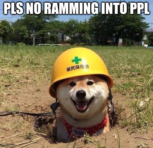 Safety doggo | PLS NO RAMMING INTO PPL | image tagged in safety doggo | made w/ Imgflip meme maker