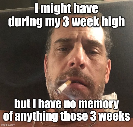 Hunter Biden | I might have during my 3 week high but I have no memory of anything those 3 weeks | image tagged in hunter biden | made w/ Imgflip meme maker