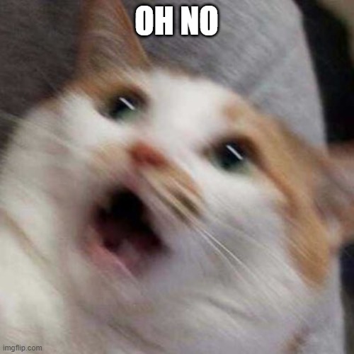 Oh no Cat | OH NO | image tagged in oh no cat | made w/ Imgflip meme maker