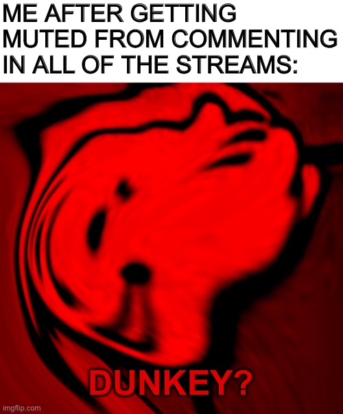 Angry fallout guy | ME AFTER GETTING MUTED FROM COMMENTING IN ALL OF THE STREAMS:; DUNKEY? | image tagged in angry fallout guy,memes | made w/ Imgflip meme maker