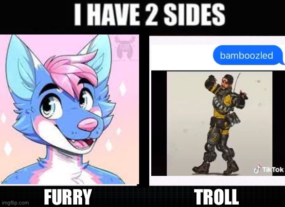 I have to use this for the rest of the day | TROLL; FURRY | made w/ Imgflip meme maker