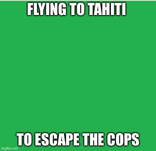 Green Screen | FLYING TO TAHITI; TO ESCAPE THE COPS | image tagged in green screen | made w/ Imgflip meme maker