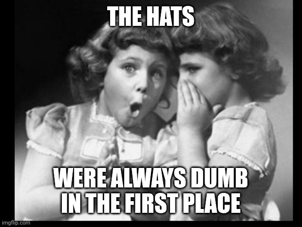 Friends sharing | THE HATS WERE ALWAYS DUMB IN THE FIRST PLACE | image tagged in friends sharing | made w/ Imgflip meme maker
