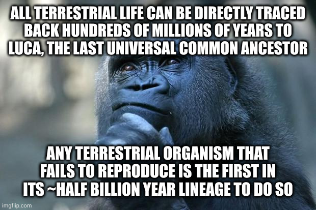 Sweet, neglecting to breed is actually an epic legacy! | ALL TERRESTRIAL LIFE CAN BE DIRECTLY TRACED
BACK HUNDREDS OF MILLIONS OF YEARS TO
LUCA, THE LAST UNIVERSAL COMMON ANCESTOR; ANY TERRESTRIAL ORGANISM THAT FAILS TO REPRODUCE IS THE FIRST IN ITS ~HALF BILLION YEAR LINEAGE TO DO SO | image tagged in deep thoughts | made w/ Imgflip meme maker