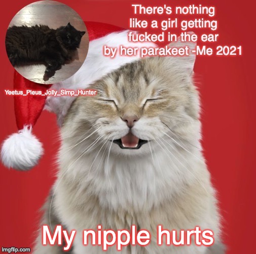 Christmas Template | My nipple hurts | image tagged in christmas template | made w/ Imgflip meme maker