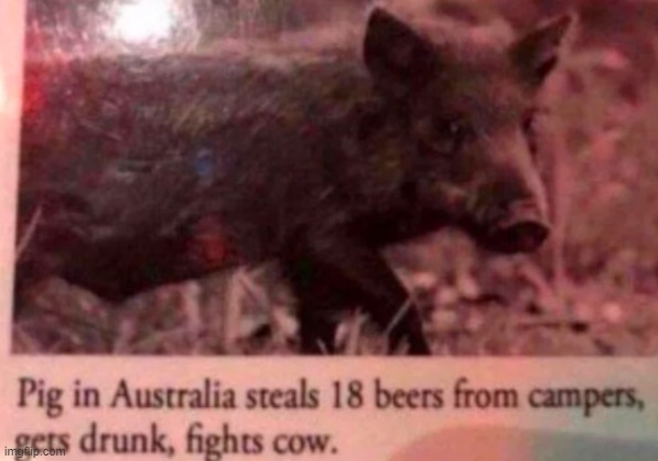 . | made w/ Imgflip meme maker