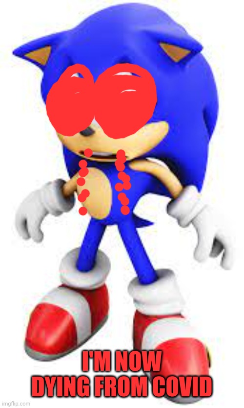 Sad Sonic | I'M NOW DYING FROM COVID | image tagged in sad sonic | made w/ Imgflip meme maker