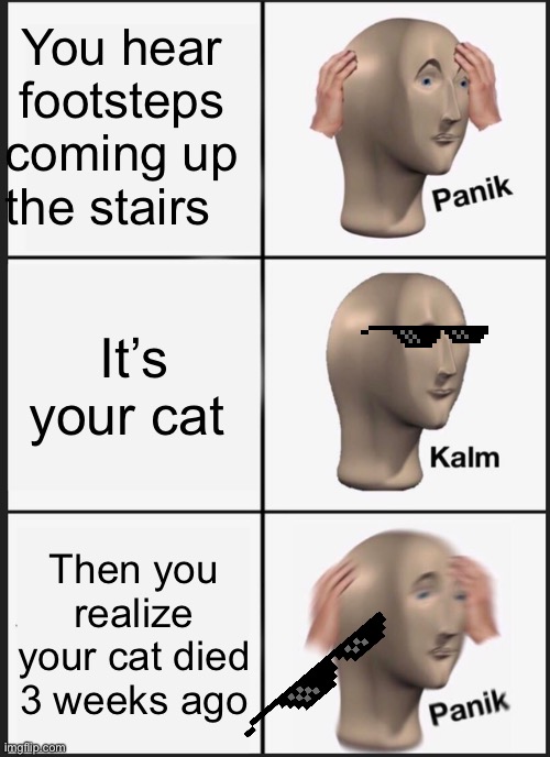 Image title is image title | You hear footsteps coming up the stairs; It’s your cat; Then you realize your cat died 3 weeks ago | image tagged in memes,panik kalm panik | made w/ Imgflip meme maker