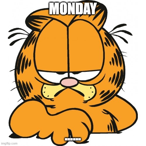 orange cat mondays | MONDAY; ...... | image tagged in garfield,mondays,funny memes,grumpy cat,comics/cartoons,weekdays | made w/ Imgflip meme maker