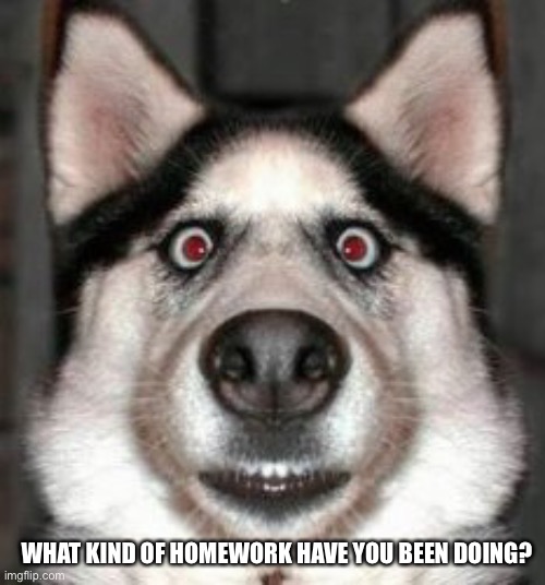 WHAT KIND OF HOMEWORK HAVE YOU BEEN DOING? | made w/ Imgflip meme maker