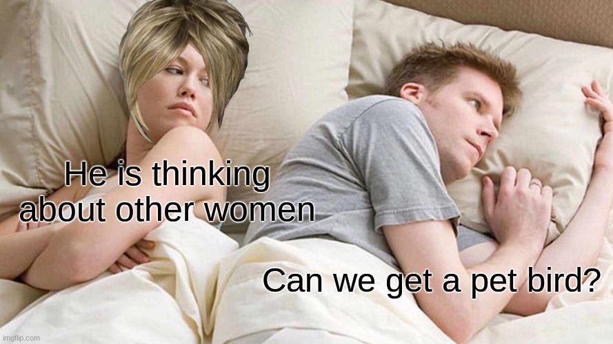 I Bet He's Thinking About Other Women | He is thinking about other women; Can we get a pet bird? | image tagged in memes,i bet he's thinking about other women | made w/ Imgflip meme maker