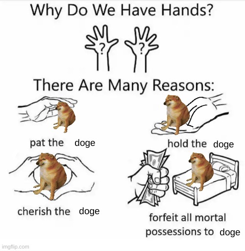 dogo | doge; doge; doge; doge | image tagged in why do we have hands all blank | made w/ Imgflip meme maker