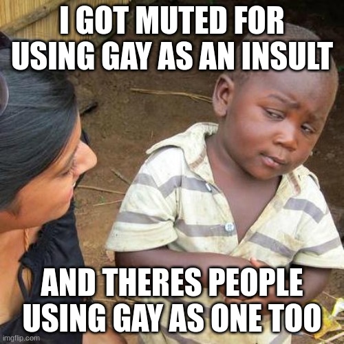 Third World Skeptical Kid Meme | I GOT MUTED FOR USING GAY AS AN INSULT; AND THERES PEOPLE USING GAY AS ONE TOO | image tagged in memes,third world skeptical kid | made w/ Imgflip meme maker