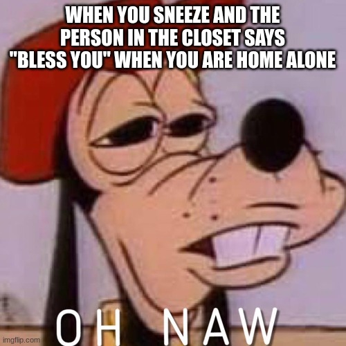 should i be scared O_O | WHEN YOU SNEEZE AND THE PERSON IN THE CLOSET SAYS "BLESS YOU" WHEN YOU ARE HOME ALONE | image tagged in oh naw | made w/ Imgflip meme maker
