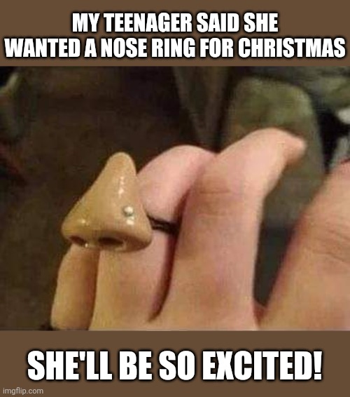 Nose ring | MY TEENAGER SAID SHE WANTED A NOSE RING FOR CHRISTMAS; SHE'LL BE SO EXCITED! | image tagged in nose,ring,piercings,teenagers,christmas presents,dad joke | made w/ Imgflip meme maker