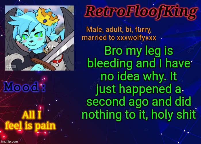 My whole life is pain! | Bro my leg is bleeding and I have no idea why. It just happened a second ago and did nothing to it, holy shit; All I feel is pain | image tagged in retrofloofking official announcement template | made w/ Imgflip meme maker