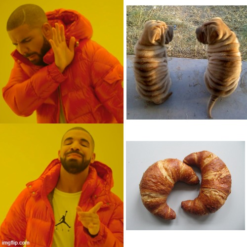 Chunky Dogs or...Croissant | image tagged in memes,drake hotline bling | made w/ Imgflip meme maker