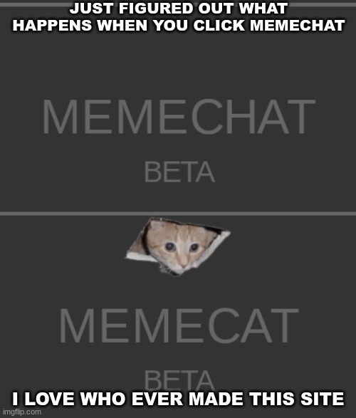 memecat | JUST FIGURED OUT WHAT HAPPENS WHEN YOU CLICK MEMECHAT; I LOVE WHO EVER MADE THIS SITE | image tagged in memecat,imgflip,meme chat | made w/ Imgflip meme maker